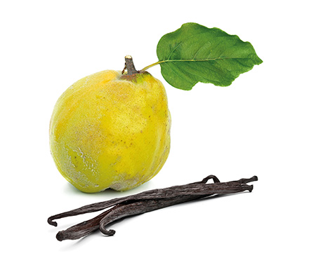 Quitten-Vanille-Konfitüre