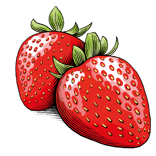 Erdbeer-Gelée