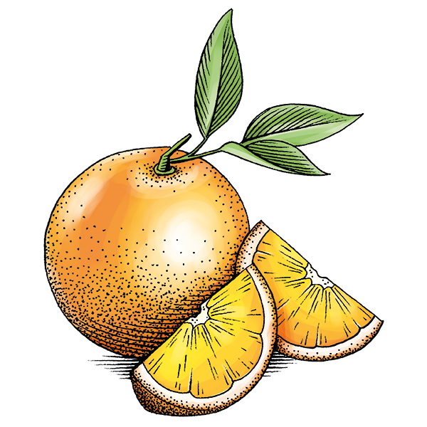 Orangen-Konfitüre Light