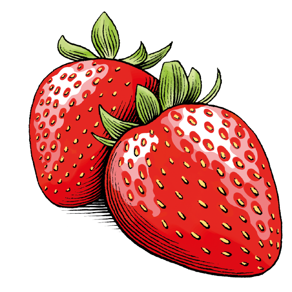 Erdbeeren